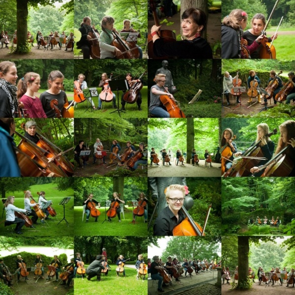 Cello 14